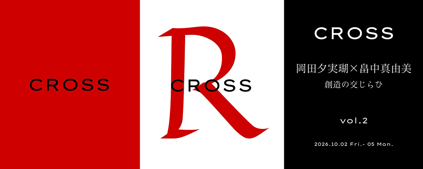 CROSS DM